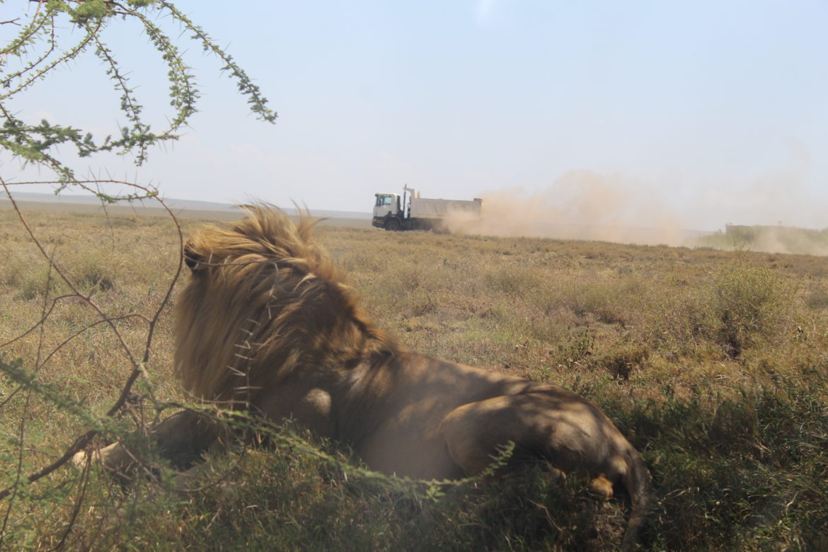 Top Wildlife Destinations to Visit in East Africa