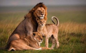Explore Kenya