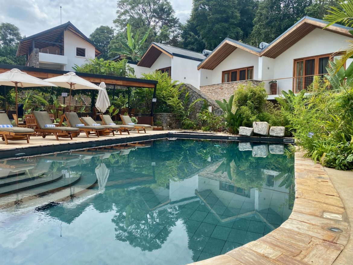 Luxury Gorilla Flying Safari in Rwanda